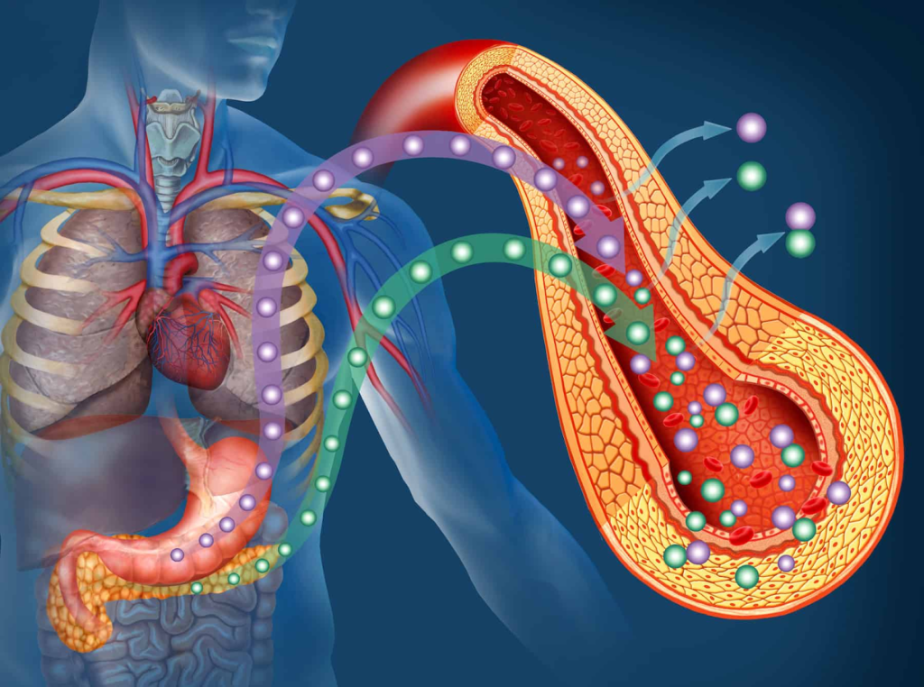 What is insulin Resistance? Signs, Causes & Natural Ways to Fix it insulinresistance