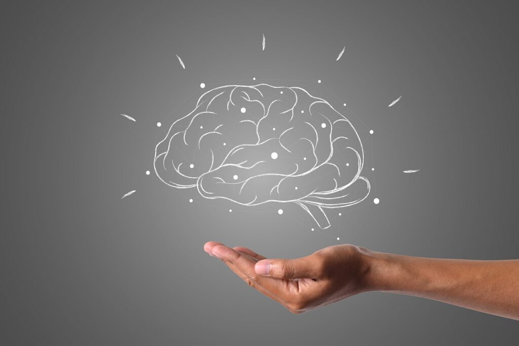 How brain supplements support cognitive wellness