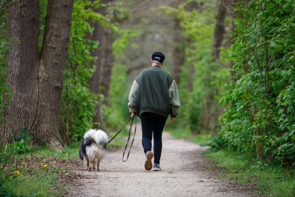 A person walks their dog on a peaceful forest path surrounded by lush greenery.